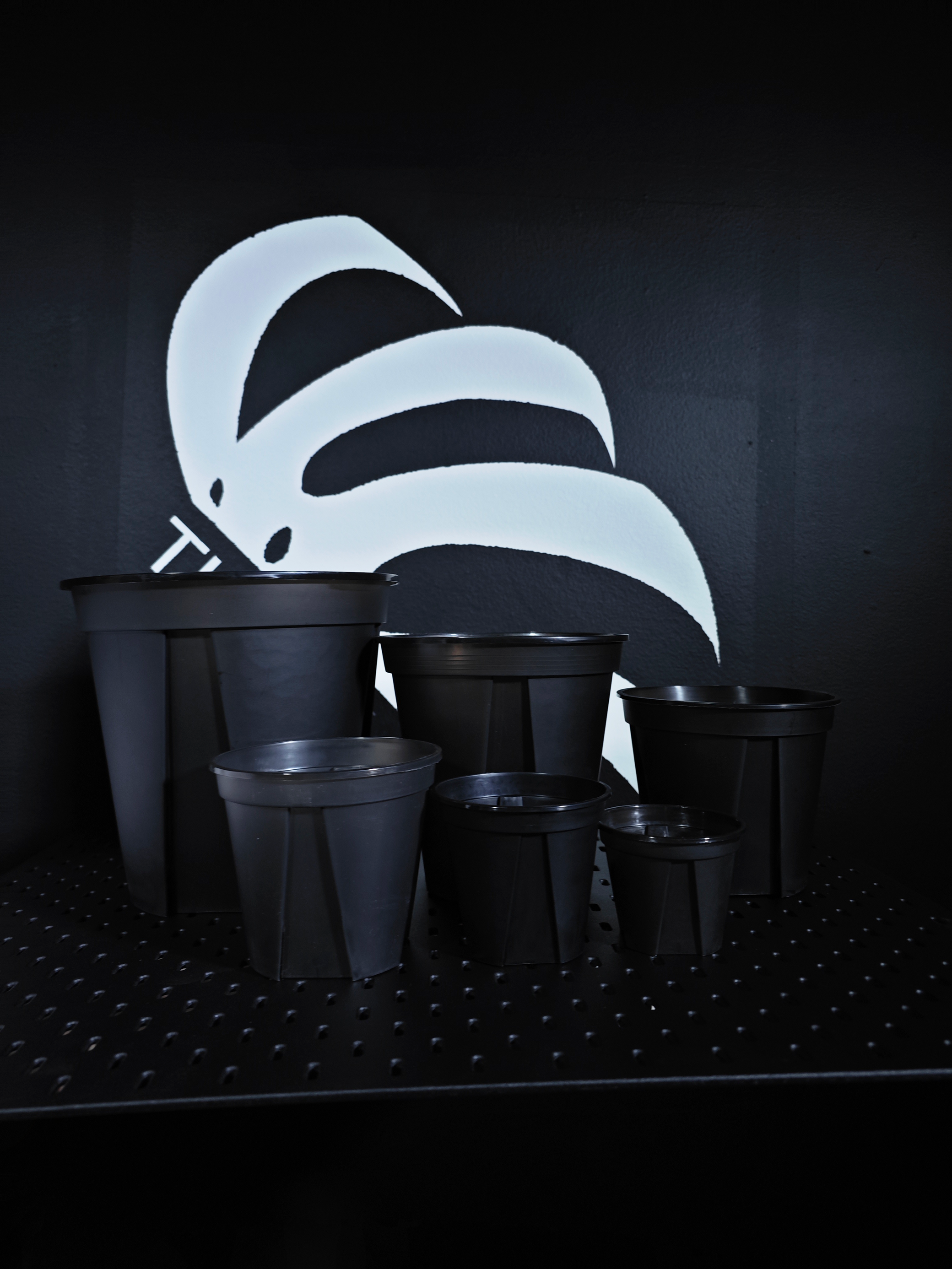 plastic plant pots 10 inch Black Translucent Plastic Pot (3.9/4.7/5.9/7.0/8.2/10.6 Inch) *10 pots