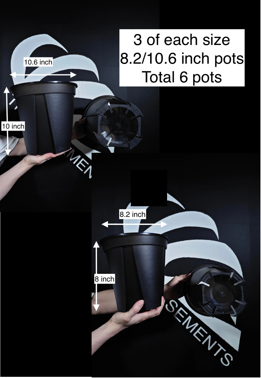 Black Translucent Plastic Pot (Sets) - thebasements.com